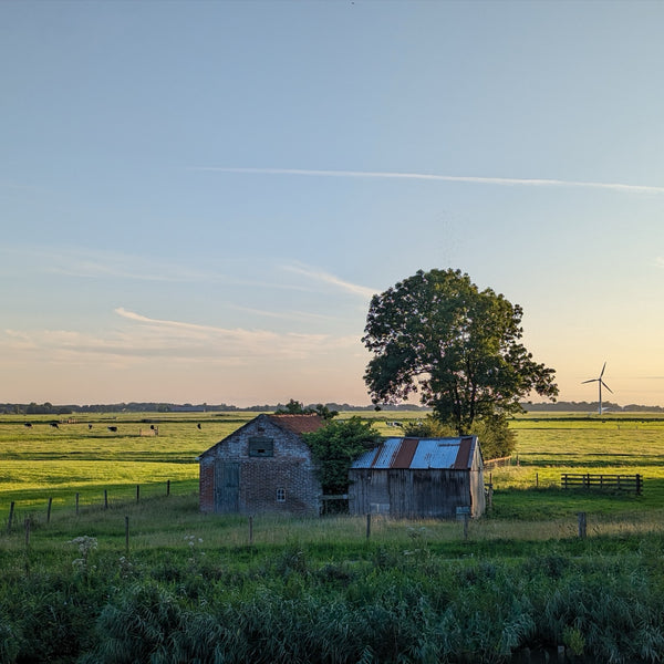 A barn at sunset in the polder near Leeuwarden