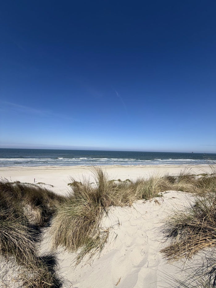 Dunes and the sea on a bright day