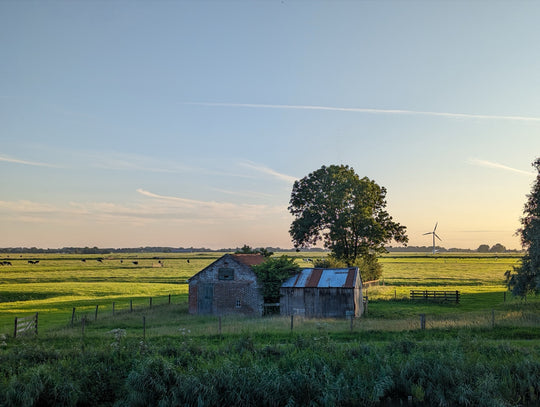 A barn at sunset in the polder near Leeuwarden