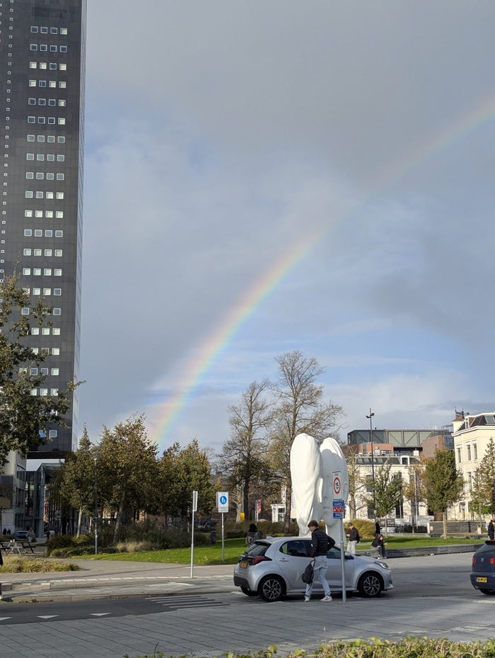 A rainbow over the rooftops of Leeuwarden